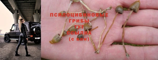 а пвп мука Алзамай