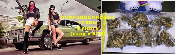 Альфа ПВП Алексеевка