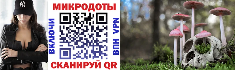 мега рабочий сайт Тырныауз Галлюциногенные грибы мухоморы
